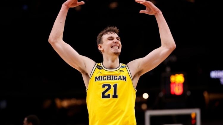 体上庞大的 体上庞大的